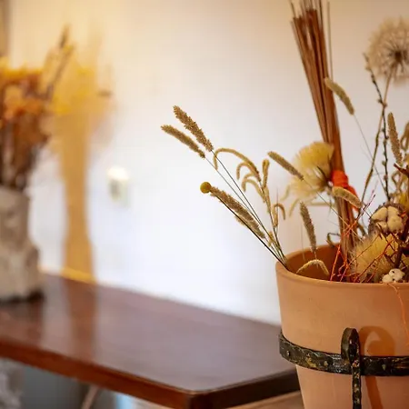 Komun Apartman Vela Luka